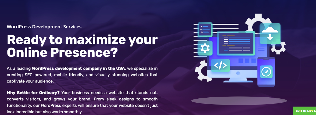 WordPress development services in the USA